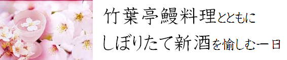 takehateirogopng.png
